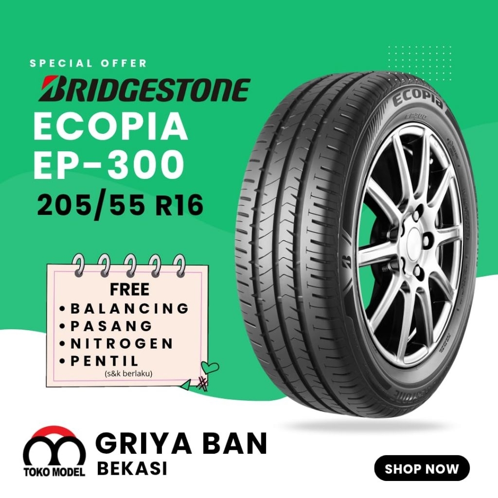 Bridgestone Ecopia EP-300 205/55 R16