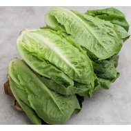 Selada Romaine Segar 250 gram