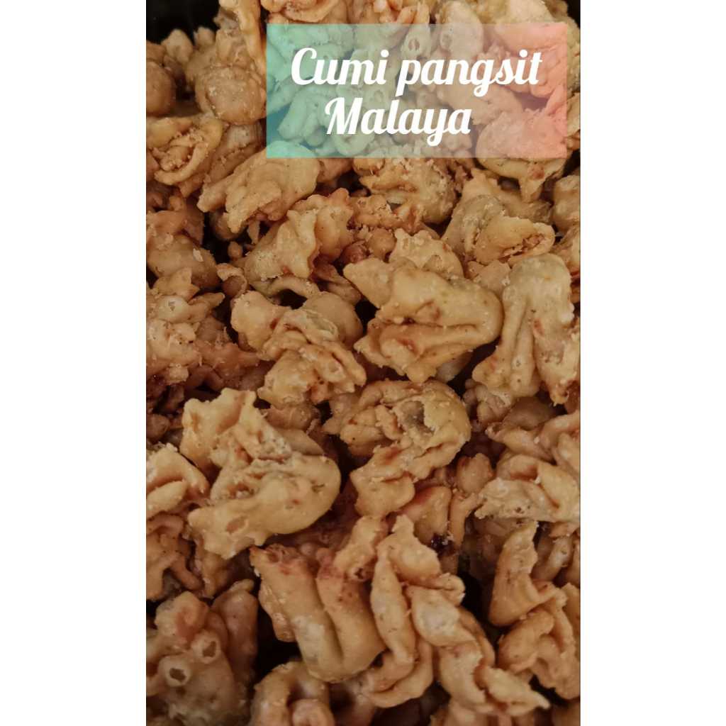 

CUMI PANGSIT ISI ABON [MALAYA] ENAK GURIH MINAKJINGGA CAMILAN