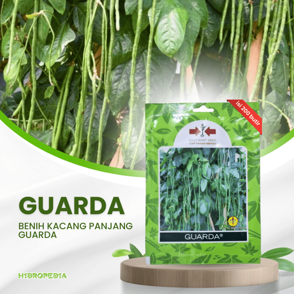 Benih Kacang Panjang Garda F1 Cap Panah Merah - HIDROPEDIA