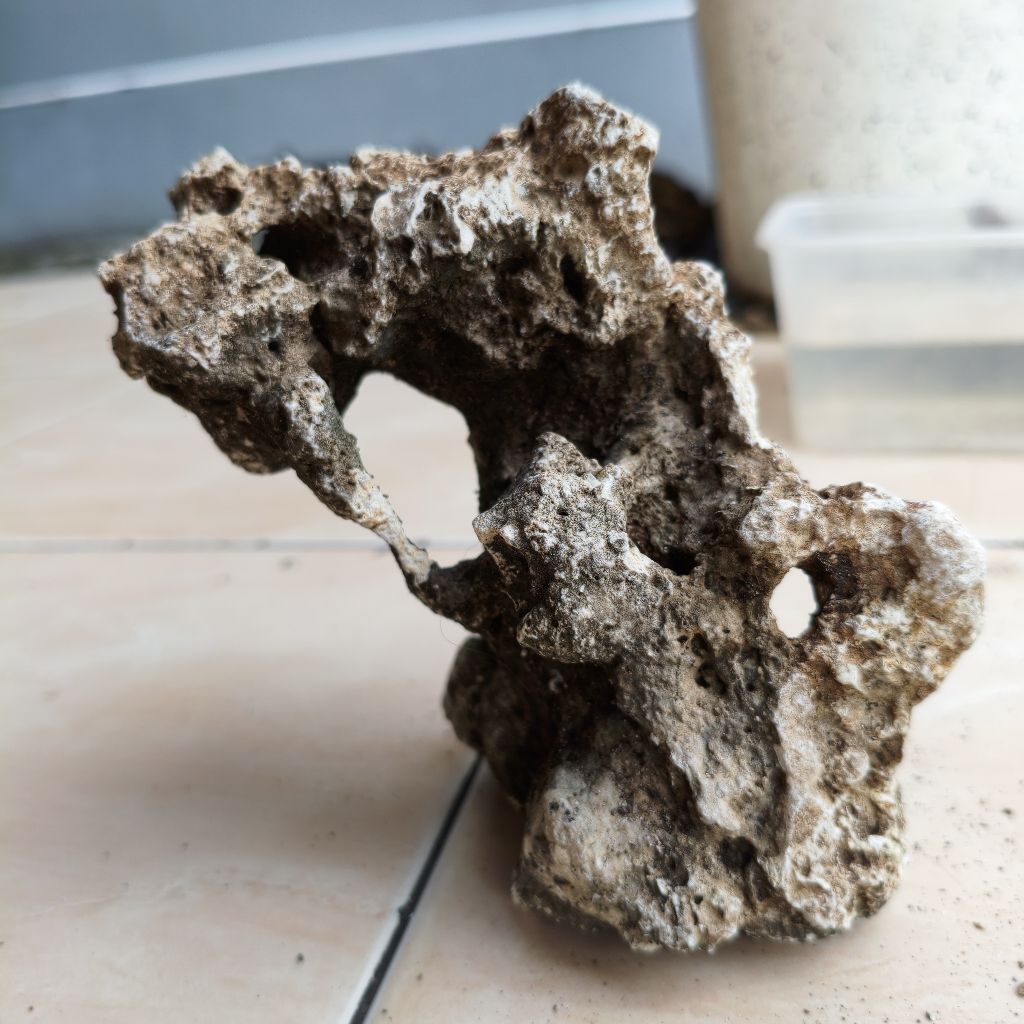 Crystalcove12 Batu Karang Gunung Bolong Untuk Bonsai, Mame On The Rock, Aquascape M