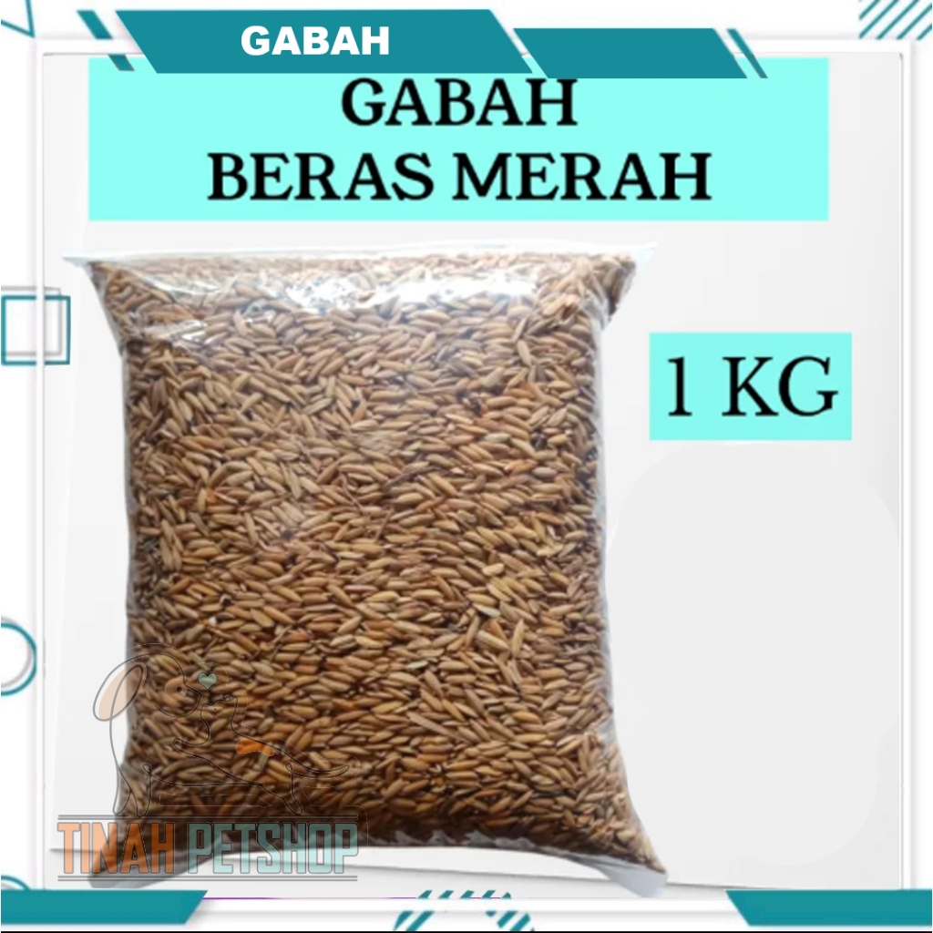 Gabah Beras Merah - Pakan Burung Hamster 1KG PREMIUM