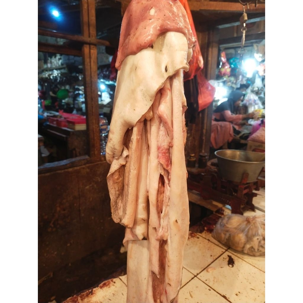 kulit/kikil kepala sapi lokal