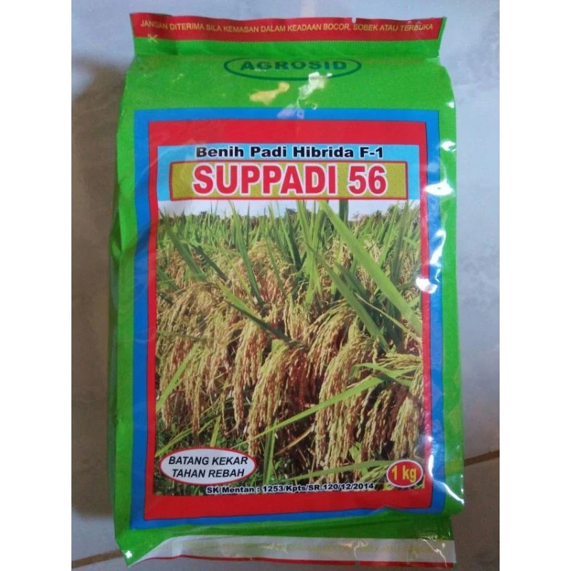 SUPPADI 56 Original Benih Padi Hibrida agrosid EXP 2027