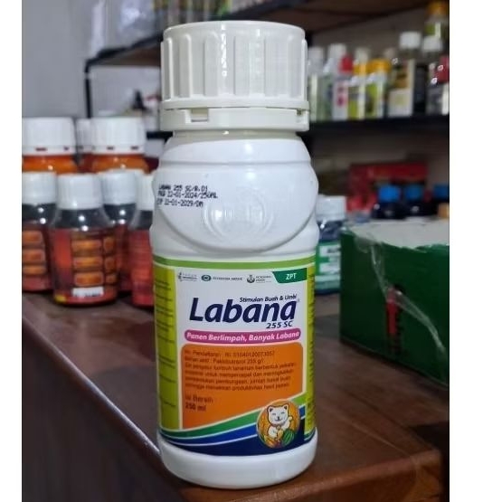LABANA 25T SC.Pembesar buah dan umbi dengan bahan aktif PAKLOBUTRAZOL kemasan 250ml