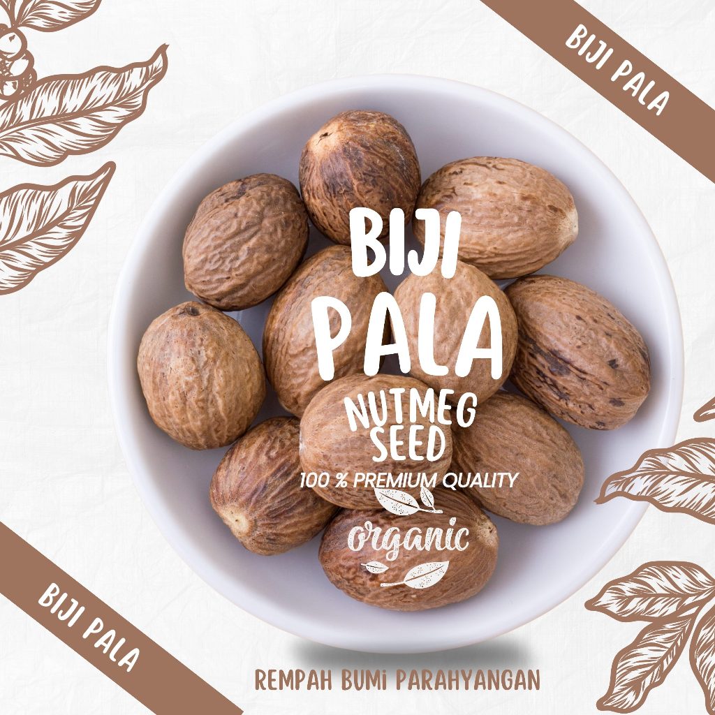 

Biji Pala Bulat Utuh / Nutmeg Seed / Rempah Premium