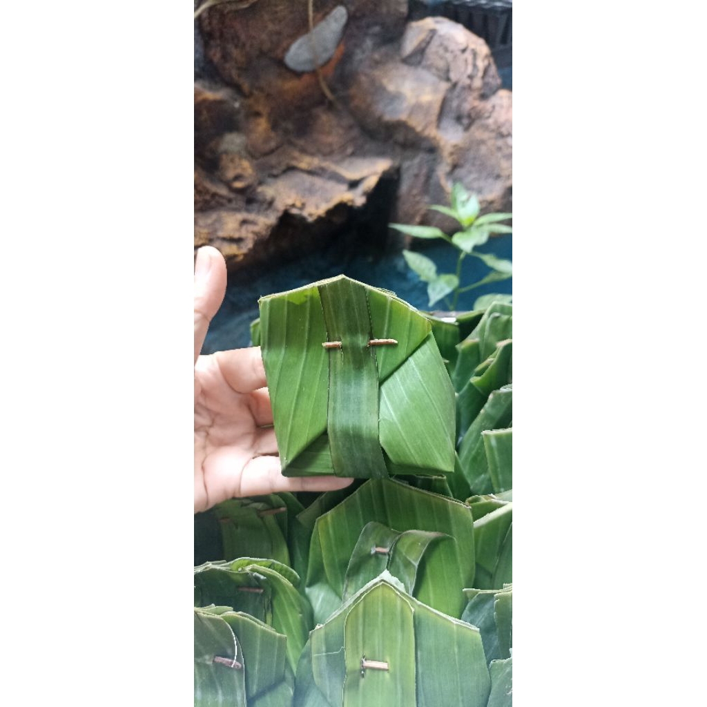 Tape  daun pisang / tape manis / tape bungkus daun pisang / 25 biji 500 gr