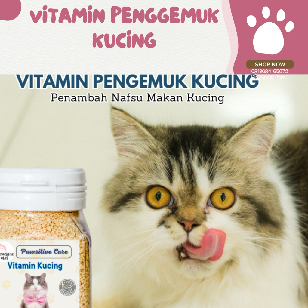 VITAMIN GEMUK Kucing Penambah Nafsu Makan Kucing Obat Penggemuk Untuk Vitamin Anak Kucing