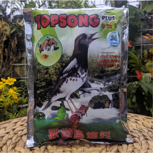 Makanan Burung Murai TopSong – Menjaga Kesehatan dan Meningkatkan Kicauan Burung