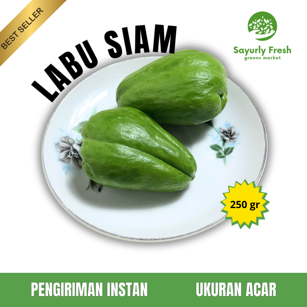 

Sayurly Fresh bandung Labu Siam Labu Hijau Fresh Waluh Lezet Ukuran Acar Premium Fresh Dari Petani