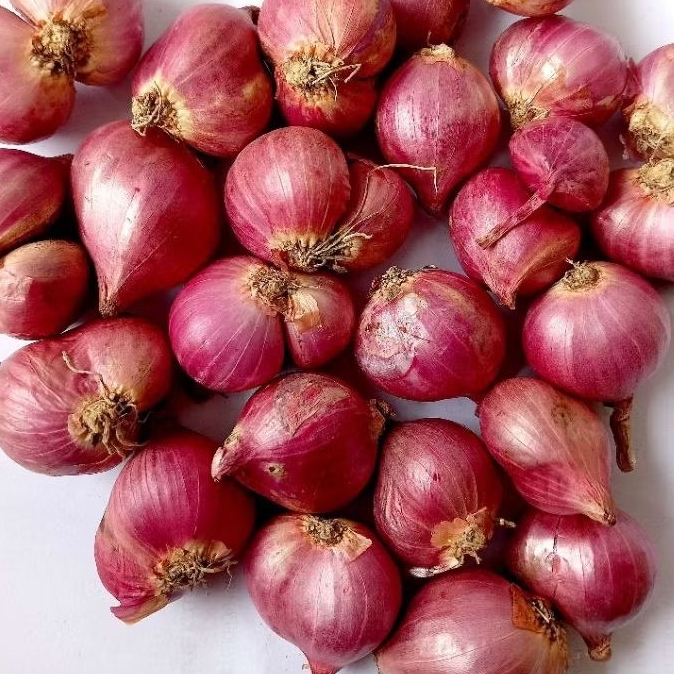 BAWANG MERAH 1 KG