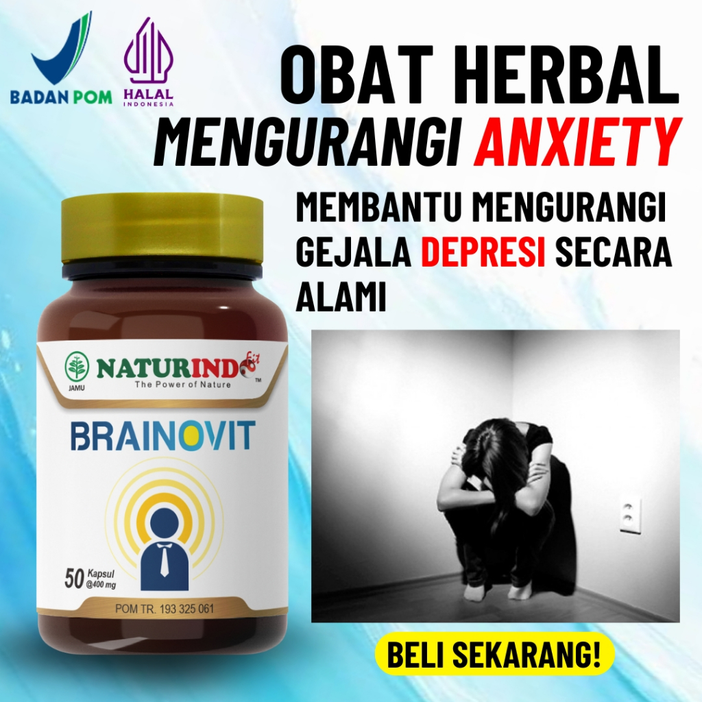 Obat Herbal Mengurangi Anxiety Cemas Skizofrenia Insomnia Stess Kecemasan Brainovit Naturindo