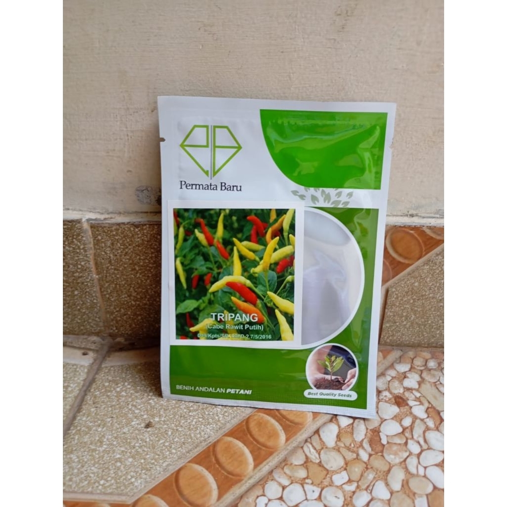 Benih Cabai Rawit Putih Tripang 10 gram Produk Permata Baru | Bibit Cabe Rawit Putih Tripang