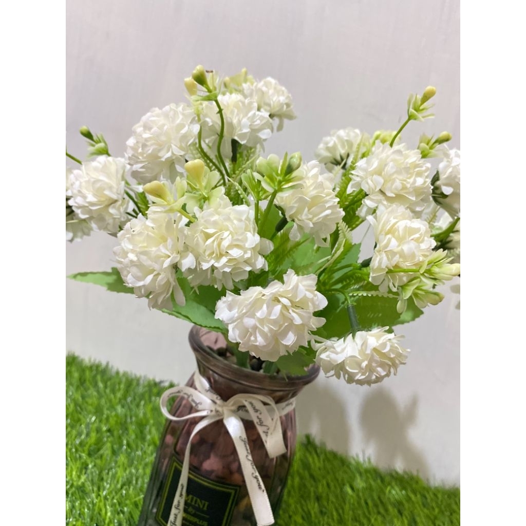 BUNGA ANYELIR - BUNGA HIAS CANTIK