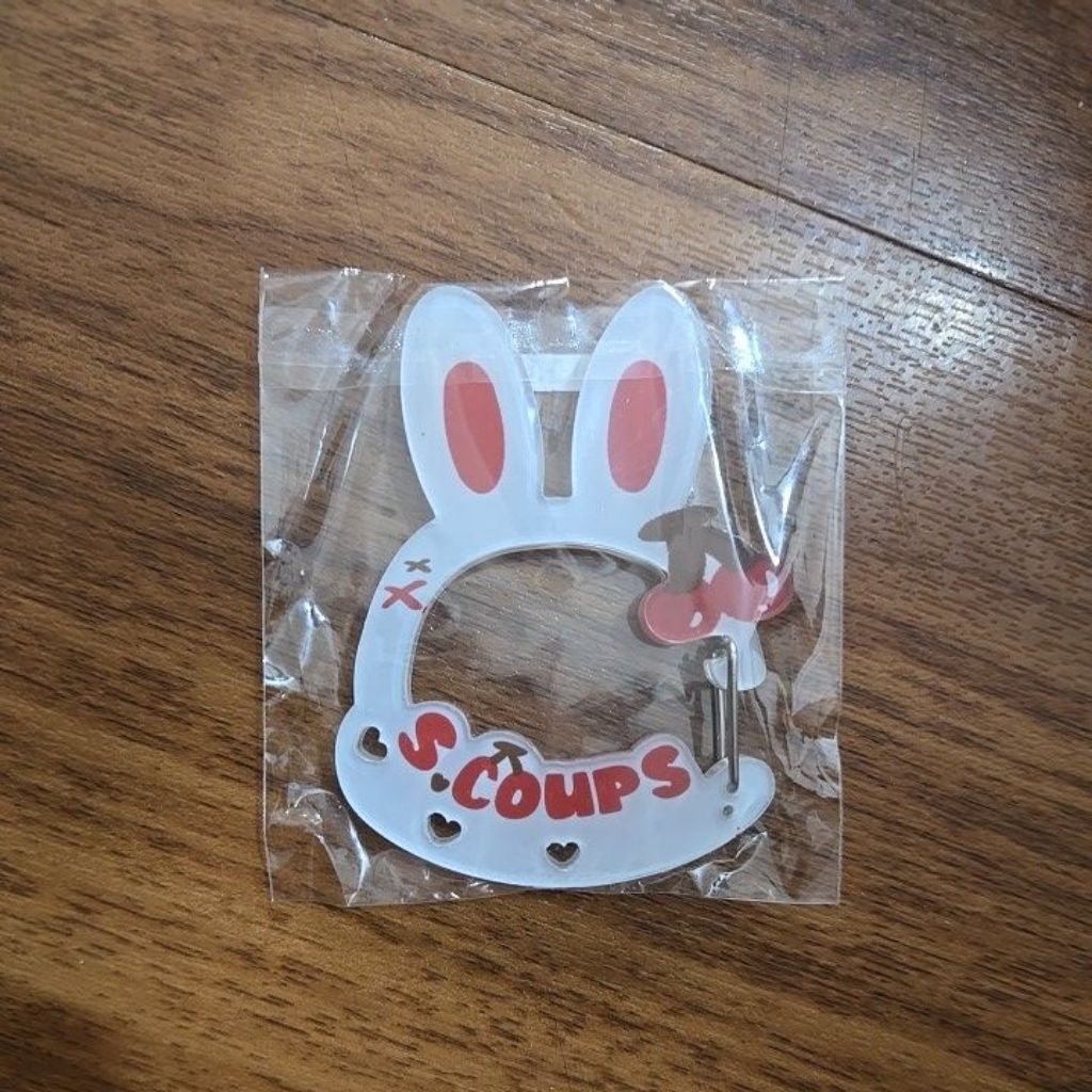 S.coups Choitcherry Seventeen Fanmade Carabiner