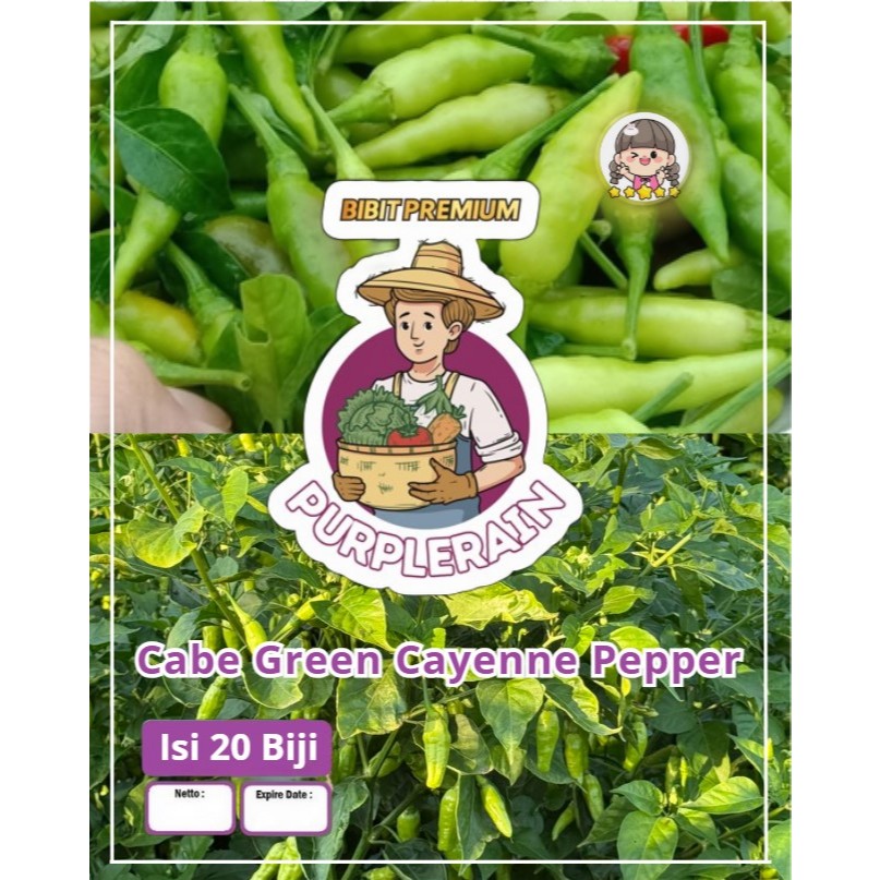 Bibit Premium Cabe Green Cayenne Pepper | Biji Benih Cabe Green Cayenne Pepper | Cabe Green Cayenne 