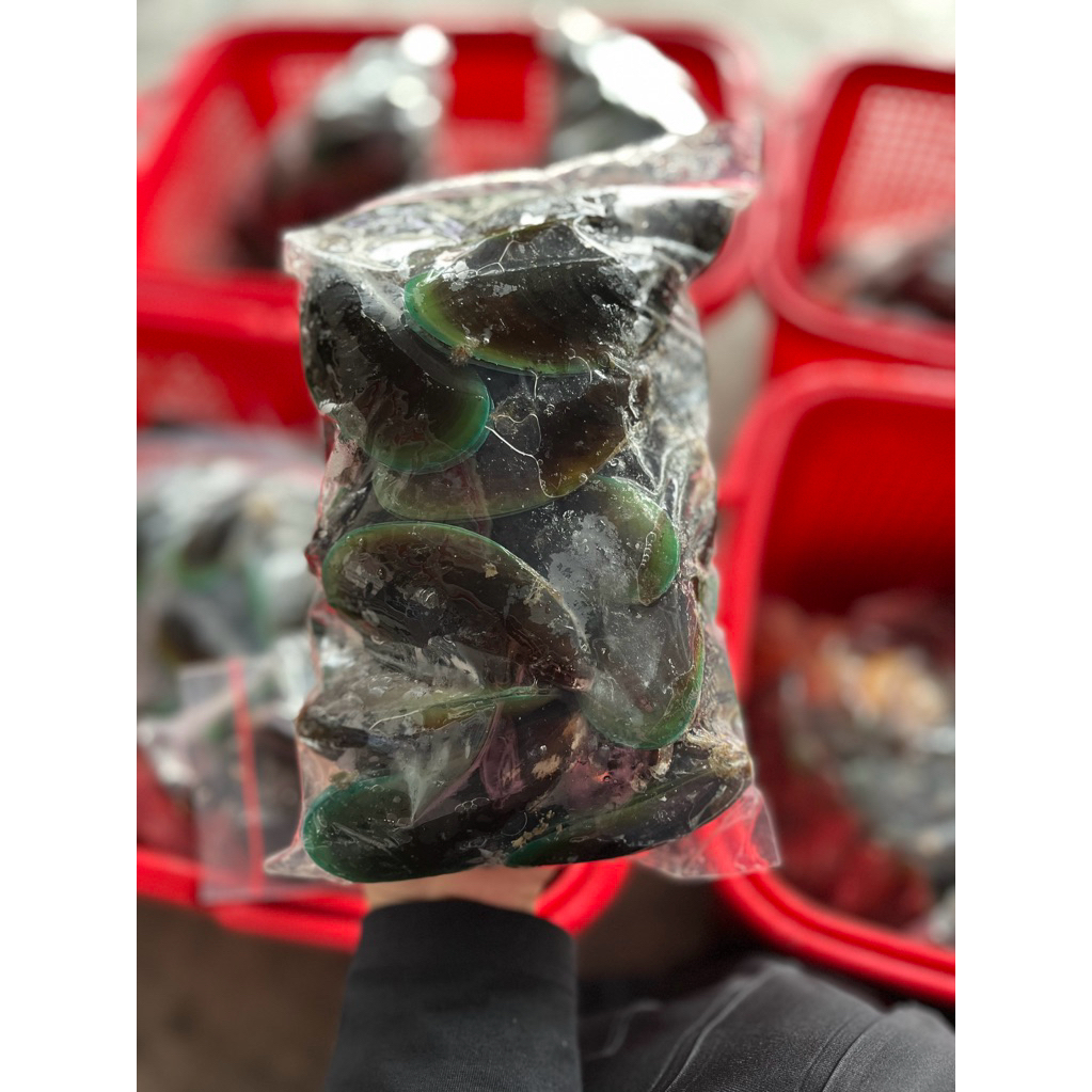 kerang hijau cangkang 1 kg