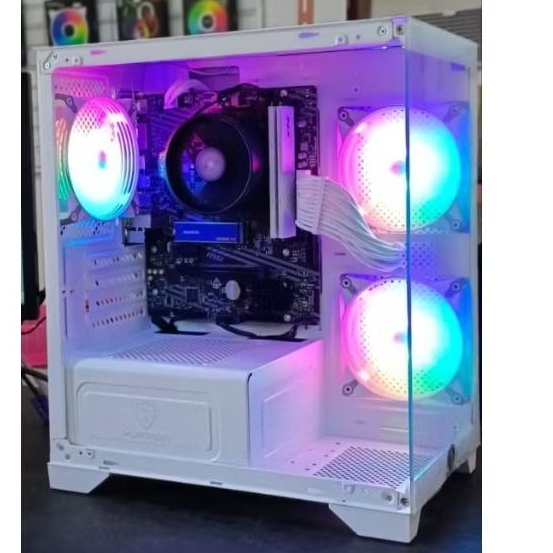 PC Gaming STARTER NEXT GEN RYZEN 5 8600G RAM 16GB NVME 500GB