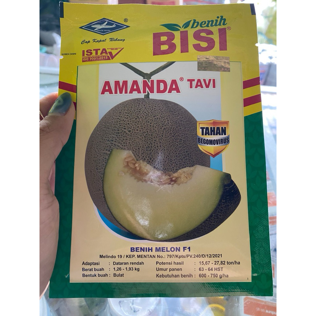 Benih melon Amanda  F1
