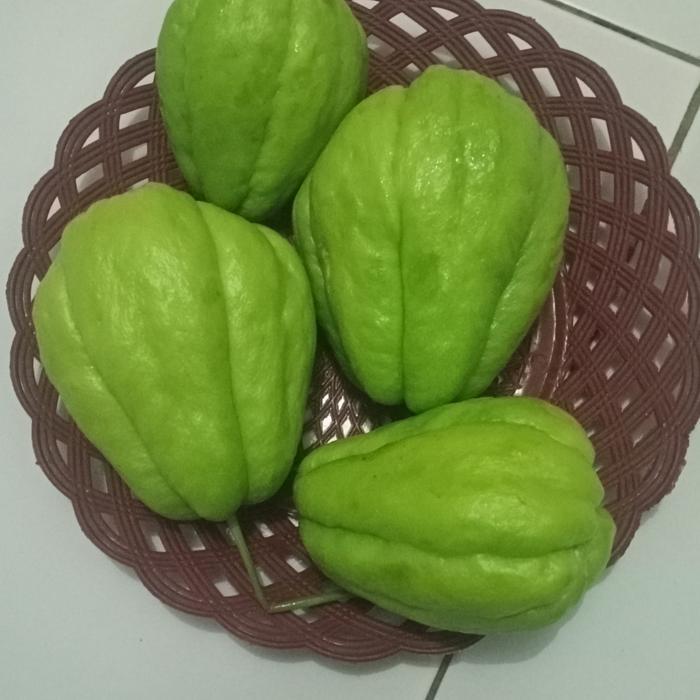 Labu siam kecil / waluh mini segar dan berkualitas bandung PO 1 HARI ORDER HARI INI DIKIRIM BESOK PA