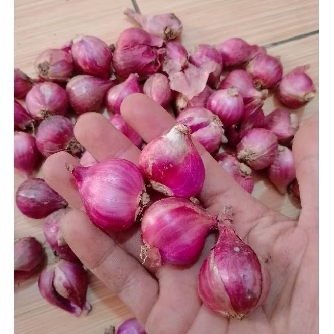 

bawang merah BREBES asli ukuran super dan kering kering kemasan 1kg dari petani langsung sedang ke atas