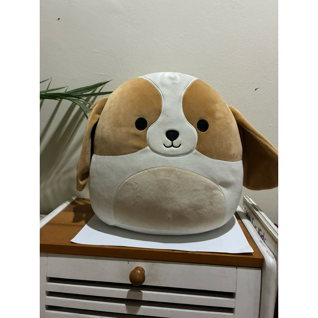 squishmallow dog