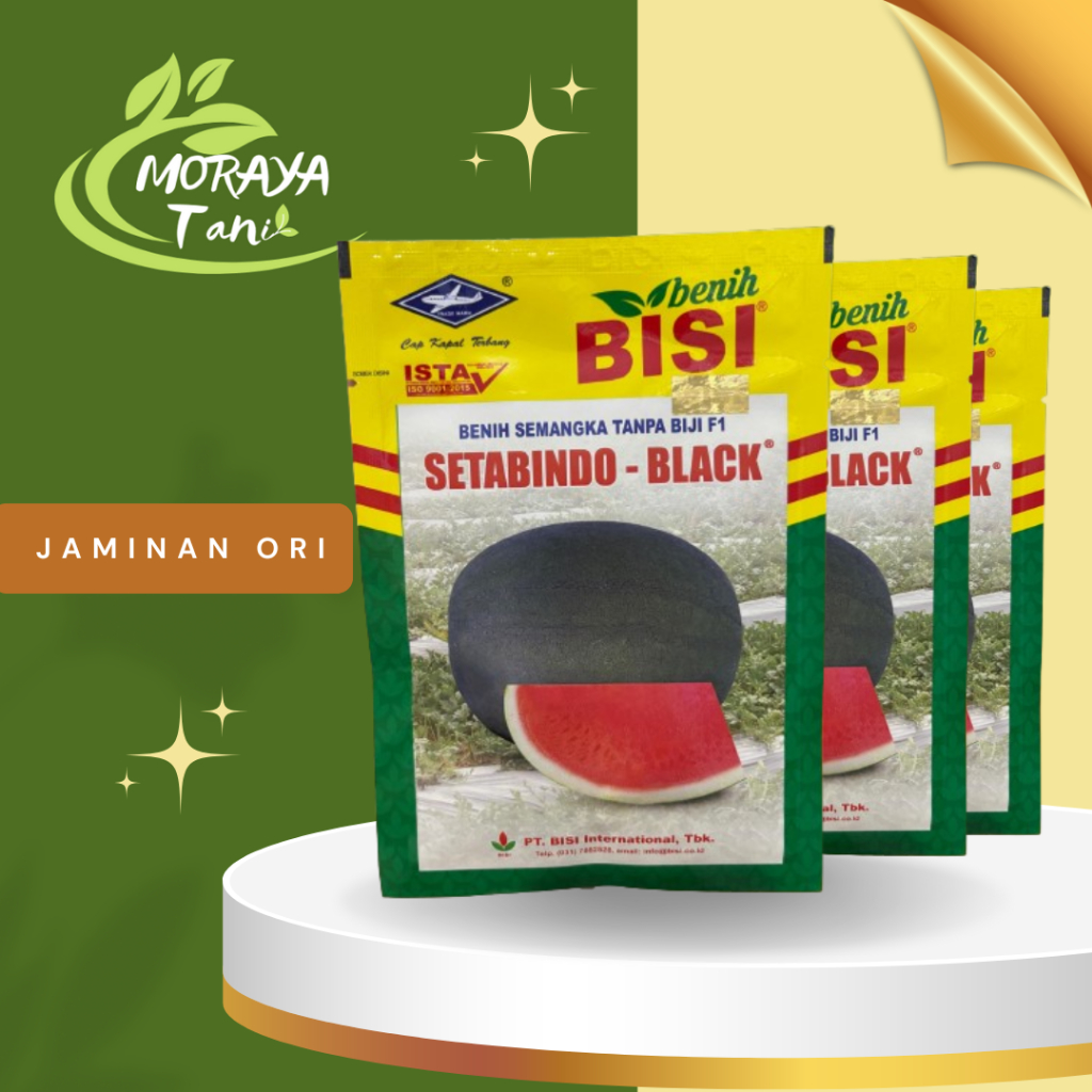 BENIH SEMANGKA NON BIJI SETABINDO BLACK 20 gram CAP KAPAL TERBANG