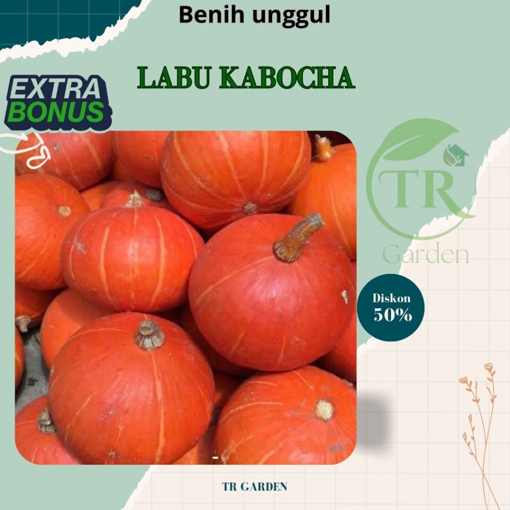 Benih biji LABU KABOCHA | LABU JEPANG BERKUALITAS