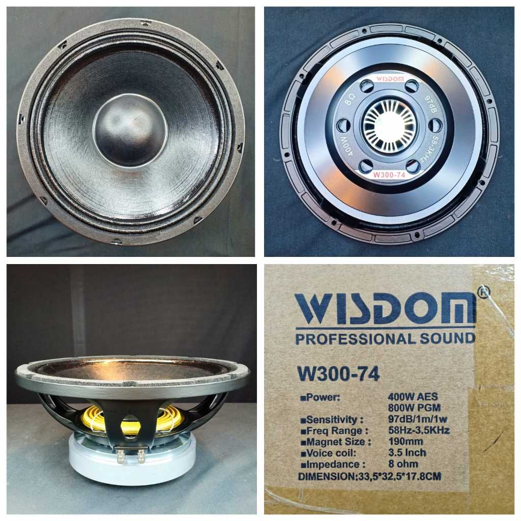 Speaker Component Wisdom W300 74 Original/ W300 74/W 300 74