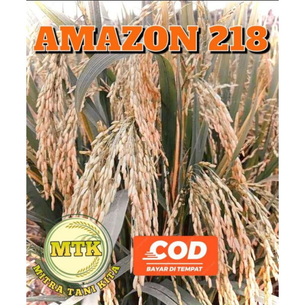 Benih padi Biji padi AMAZONE 218 hasil tinggi kemasan 5KG