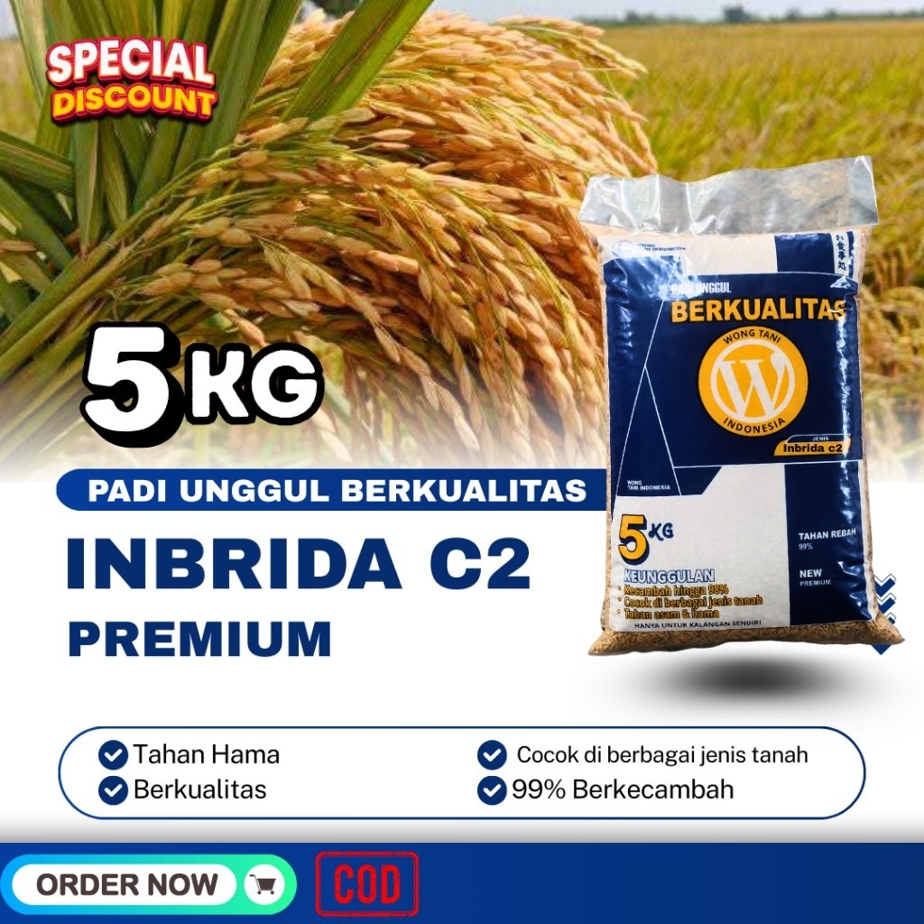 PADI GALUR INBRIDA C2 5Kg