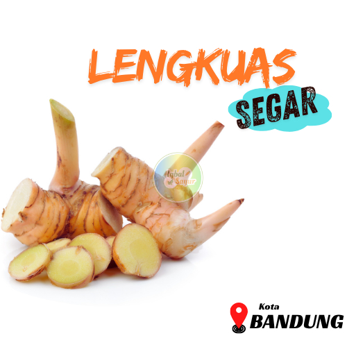 Lengkuas Segar Bandung, Pengiriman Cepat, Stok Terbatas