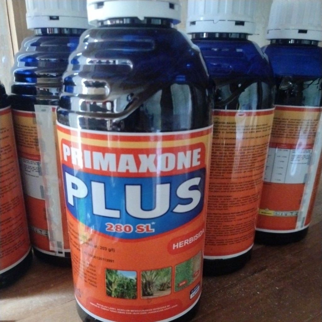PRIMAXONE PLUS