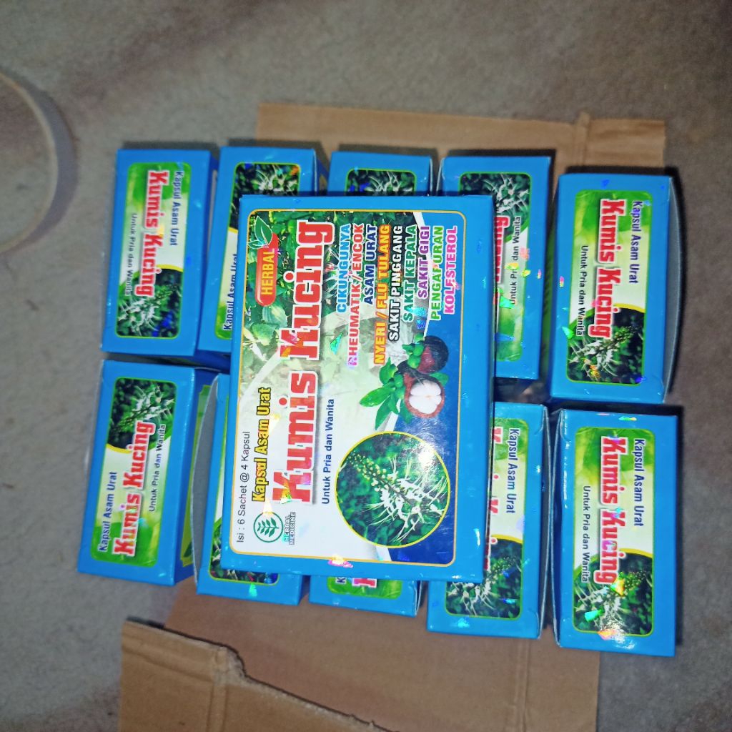 kapsul asam urat kumis kucing original