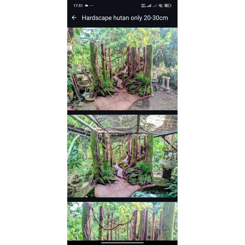 private custom aquascape hutan 30cm