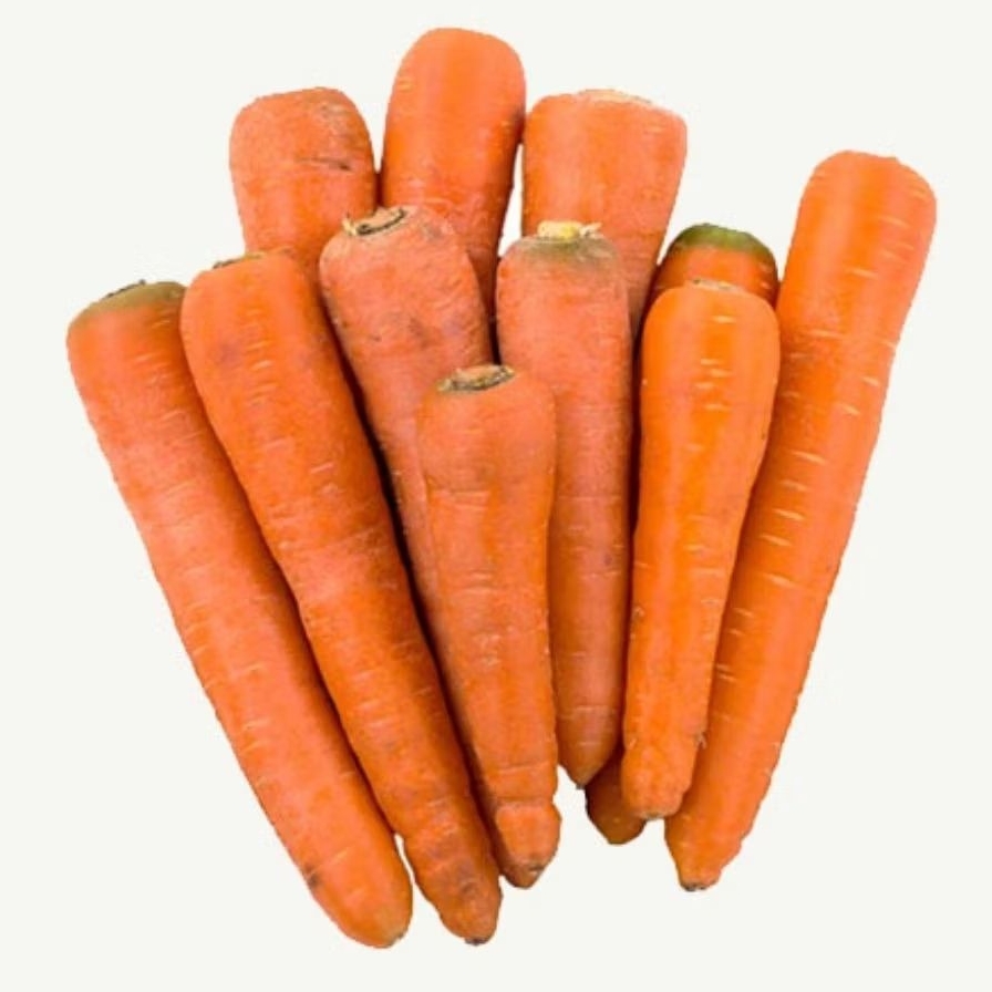 

KIRIM INSTAN WORTEL LOKAL SEGAR / WORTEL LOKAL FRESH EXPRES / TUKANG SAYUR ONLINE