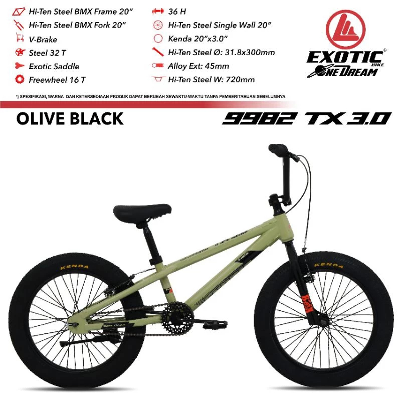 Exotic BMX ET9982TX-10 ET9982TX-30 Sepeda 20 Inci Ban 2.125/3.0 Rangka Steel Anak 8 Tahun Dewasa