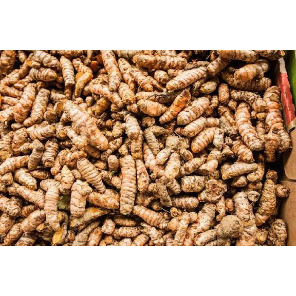 

Kunyit segar / kunyit kuning 1kg