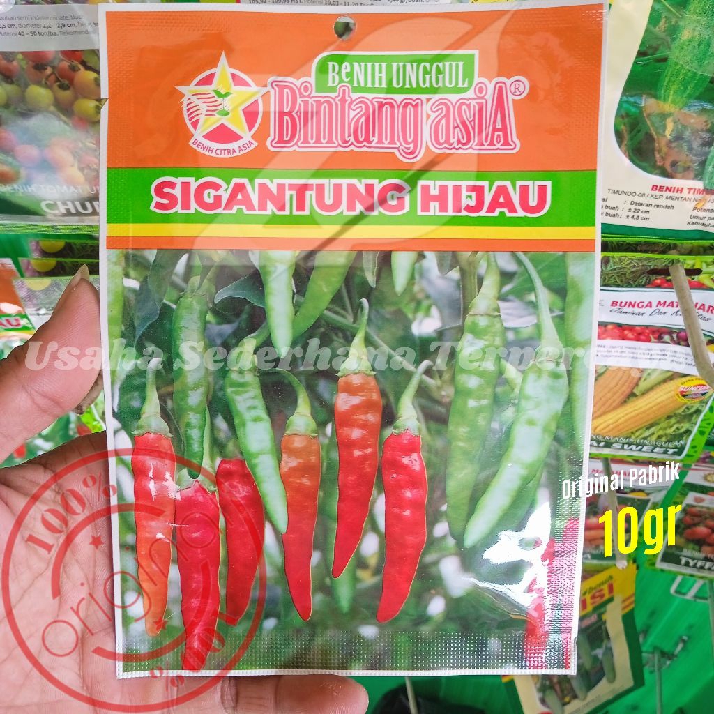 Benih Cabe Rawit SIGANTUNG HIJAU 10gr Bintang Asia