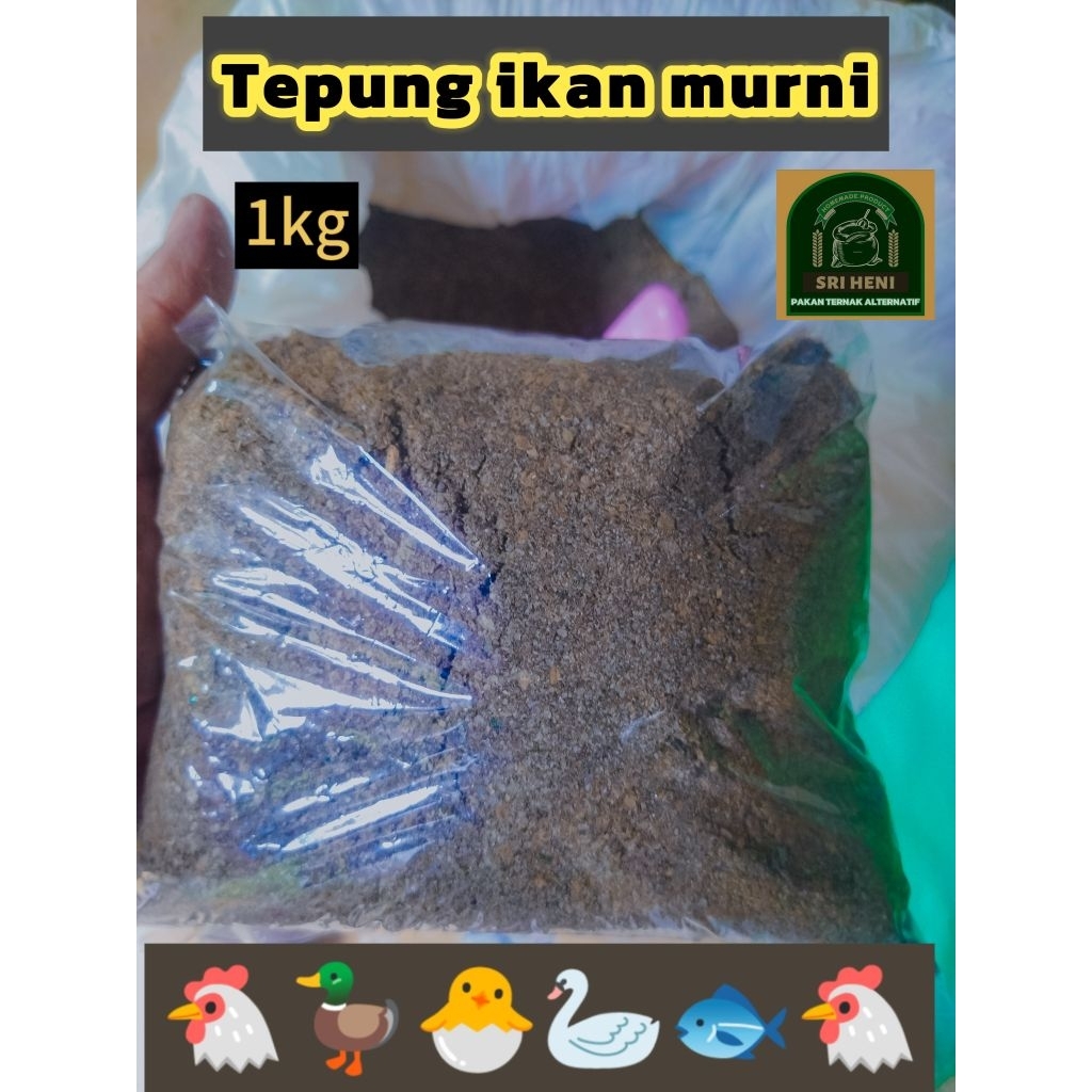 TEPUNG IKAN 100% MURNI PAKAN TERNAK 1 KG