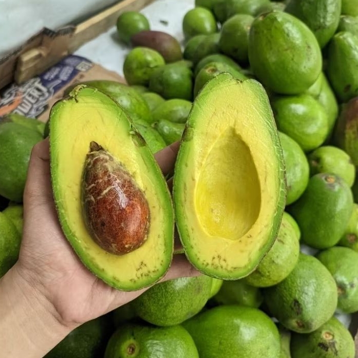 Alpukat mentega Padang