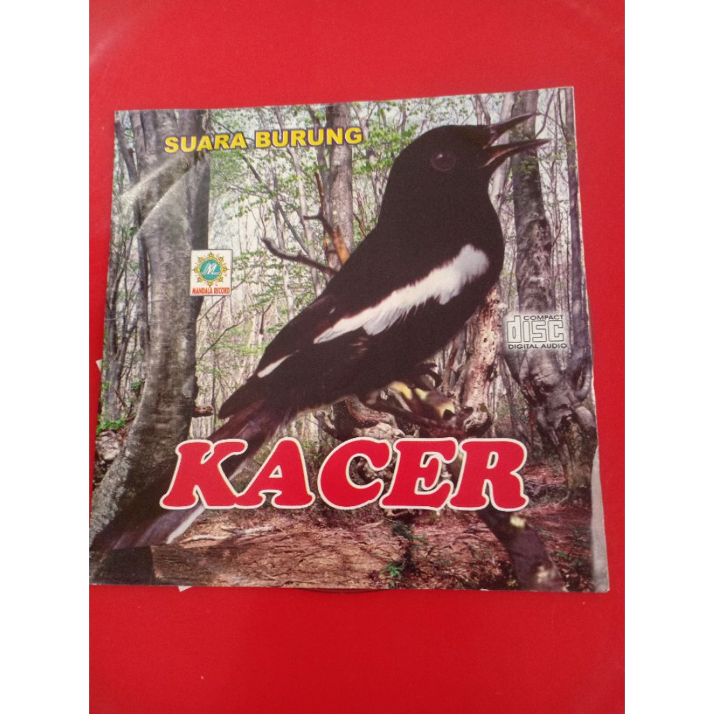 CD SUARA BURUNG KACER
