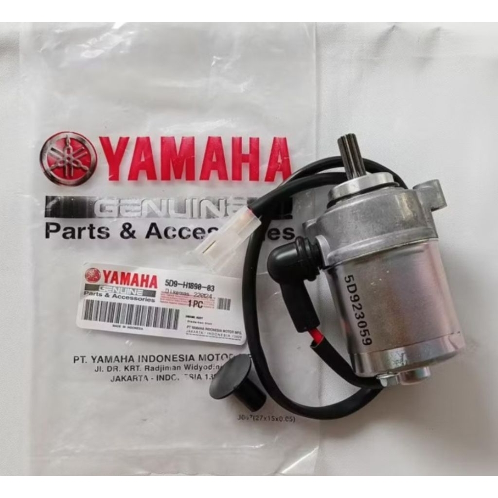 dinamo stater vega zr