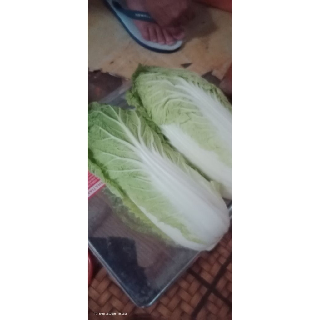 sawi putih atau slobor