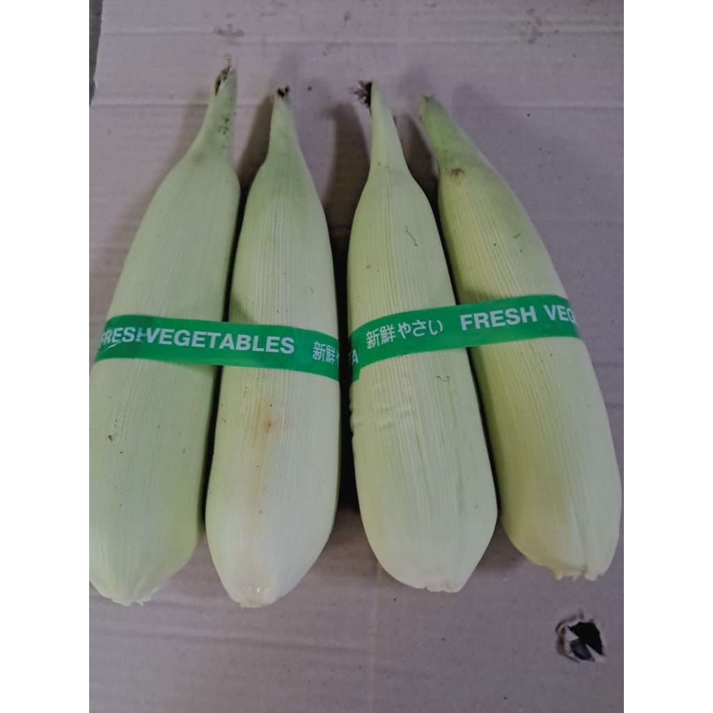 jual jagung lokalmuda 1kg jagung  kampung muda untuk direbus