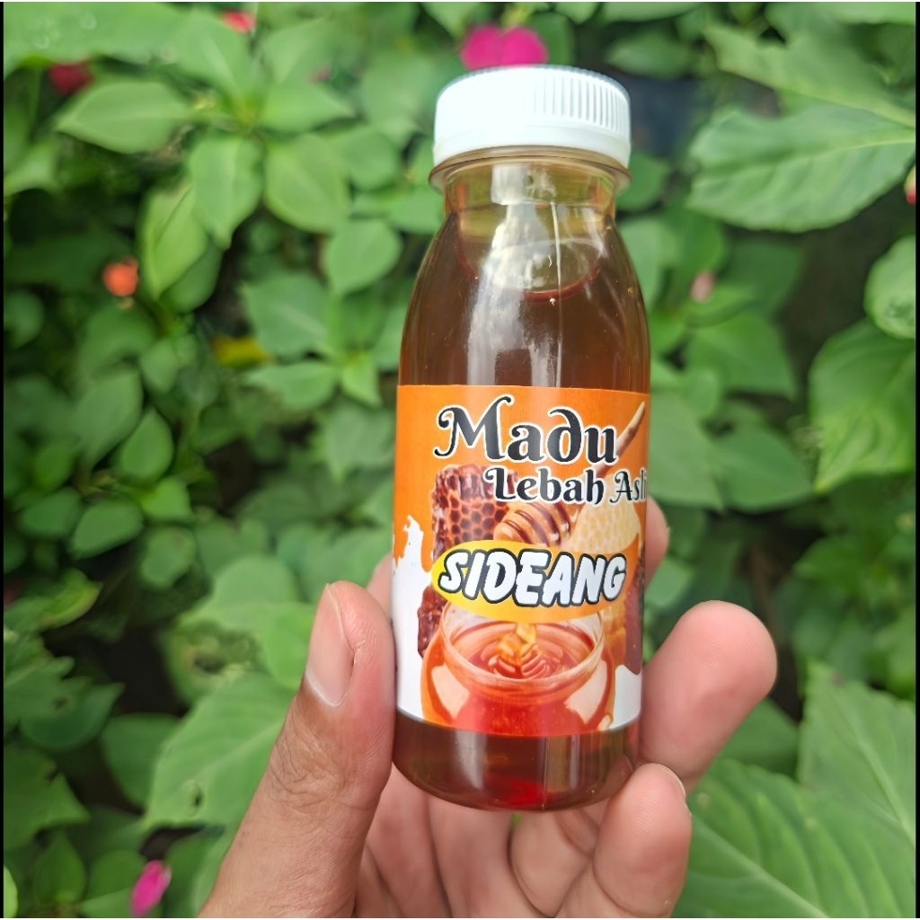 

Madu Lebah Asli 100%