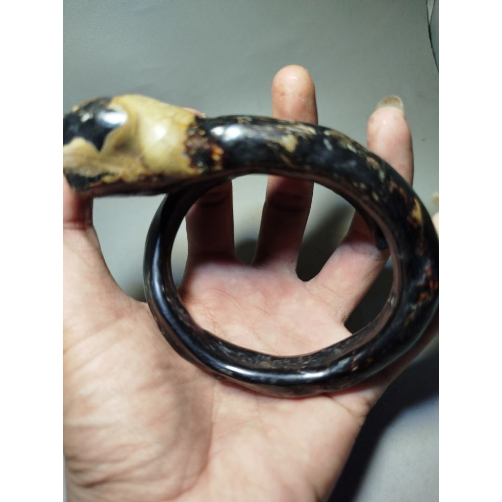 akar bahar hitam bonggol
