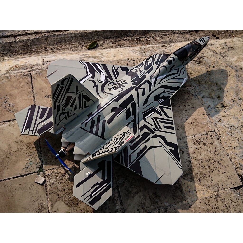 Kit Pesawat RC F-22 Raptor Starscream
