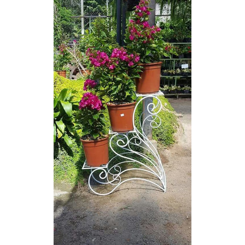 Pot bunga kerangka besi