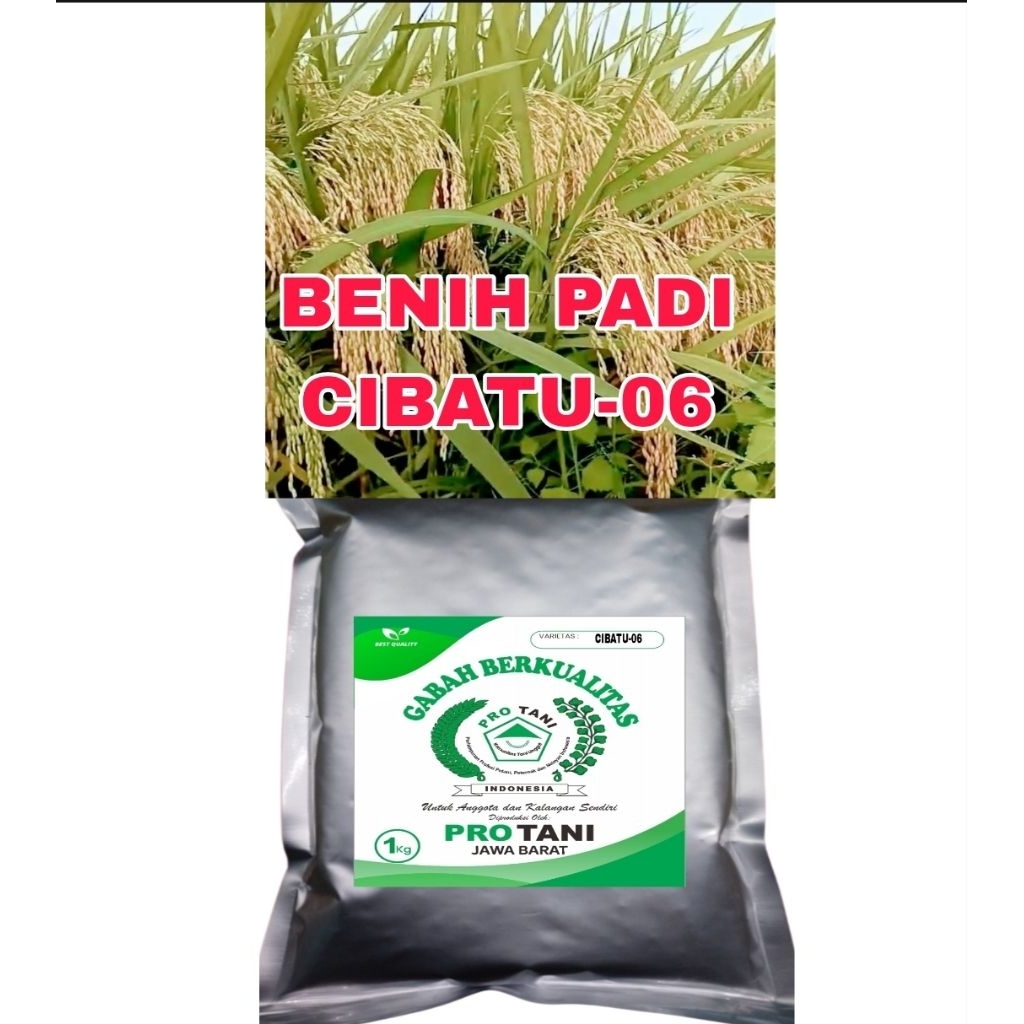BENIH PADI 1KG CIBATU-06 BERSERTIFIKAT LABEL PUTIH ORI100%